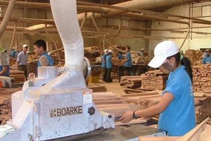 Phú Tài (PTB) sẽ chấm dứt hoạt động một xí nghiệp khai thác đá từ nay tới cuối năm 2025