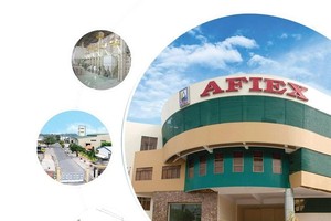 Afiex (AFX) muốn bán toàn bộ 15% vốn tại đơn vị kinh doanh siêu thị