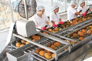 Afiex (AFX) sẽ chính thức giao dịch trên HOSE vào ngày 8/12 với giá tham chiếu 11.300 đồng/cổ phiếu