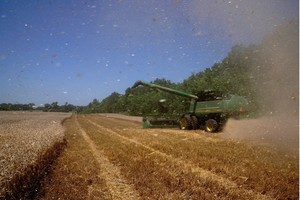 Xuất khẩu của Mỹ sang các thị trường mới nổi tăng mạnh trong năm 2025