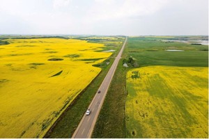 Trung Quốc tạm đình chỉ một số thuế quan nông sản và hải sản đối với Canada