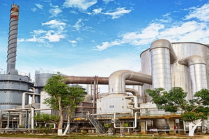 Cổ phiếu Hoá chất Đức Giang (DGC) bị cắt margin sau tin loạt lãnh đạo cấp cao bị bắt