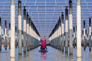 Trung Quốc kêu gọi nỗ lực phối hợp để xử lý công suất dư thừa trong ngành năng lượng mặt trời