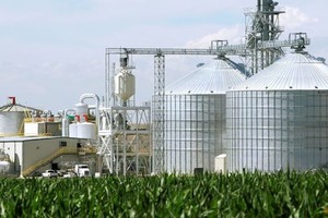 Nhiên liệu sinh học lên ngôi giữa cú sốc năng lượng toàn cầu