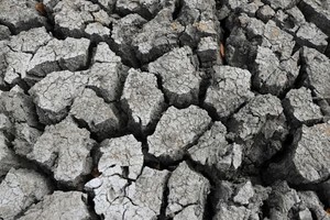 Xung đột Trung Đông và El Nino tạo áp lực kép lên kinh tế châu Á