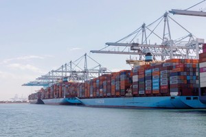 Maersk: Xung đột có thể gây áp lực lớn hơn lên thương mại toàn cầu trong những tháng tới