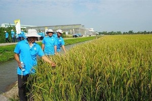 Lộc Trời (LTG) lên tiếng việc chưa tổ chức Đại hội đồng cổ đông thường niên năm 2026