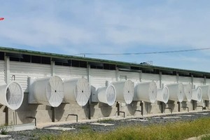Siba Group (SBG) thay Kế toán trưởng