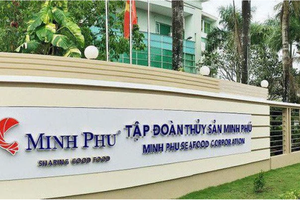 6 tháng, Thuỷ sản Minh Phú (MPC) lãi 415,4 tỷ đồng và dòng tiền âm thêm 390,7 tỷ đồng