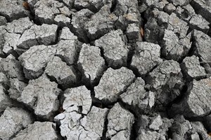 Hiện tượng El Nino có thể gây cú sốc mới cho thị trường hàng hóa
