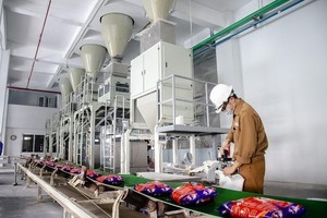 Hoá chất Đức Giang (DGC): Kiểm toán đưa ra ý kiến ngoại trừ trên Báo cáo kiểm toán bán niên năm 2026