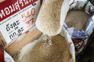 Lo ngại nguồn cung đẩy giá ngô và lúa mì lên cao nhất hơn 3 năm