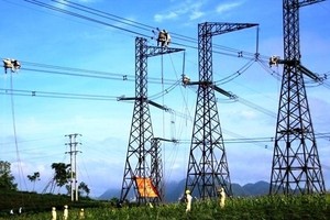 Kiểm toán nhấn mạnh lưu ý khi cả Chủ tịch và Kế toán trưởng tại PECC2 (TV2) bị khởi tố