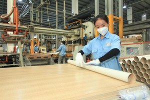 Gỗ An Cường (ACG) sắp trả cổ tức thêm 10%