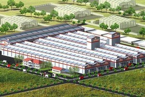 Đầu tư và Xây dựng Bình Dương ACC muốn huỷ kế hoạch trả cổ tức 5% trong năm 2025