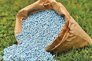 Thị trường phân bón toàn cầu tránh được cú sốc nguồn cung