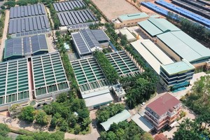 BIWASE (BWE) phát hành thành công toàn bộ hơn 31,4 triệu cổ phiếu huy động 1.162,5 tỷ đồng