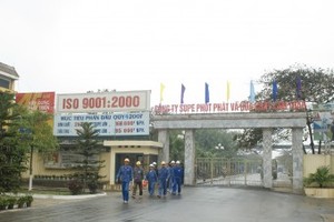 LAS tạm ứng 10% cổ tức năm 2013 bằng tiền