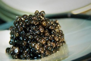 “Vàng đen” cho sức khỏe