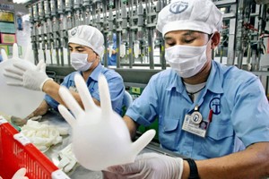 Nhu cầu tăng vọt vì dịch Covid-19, một công ty sản xuất găng tay cao su lãi tăng hơn 20 lần