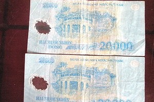 NHNN sẽ nghiên cứu để có cải tiến tiền polymer