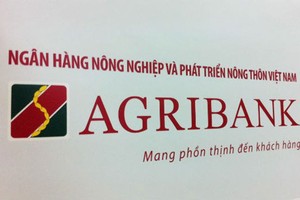Việc hàng loạt cán bộ Agribank bị xử lý hình sự, đã phát sinh tâm lý hoang mang lo sợ, làm cho số lao động bỏ việc ngày càng tăng.