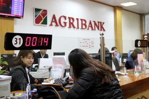 Năm 2015, Agribank dự kiến đạt lợi nhuận trước thuế trên 3.500 tỷ đồng