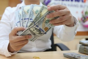 Chủ trương xuyên suốt từ nhiều năm nay là giảm dần và chấm dứt tình trạng đô la hóa nền kinh tế.