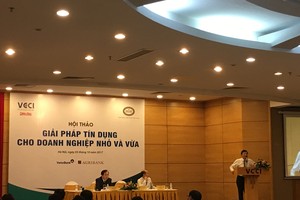 Ít có hệ thống ngân hàng nào trên thế giới dám dũng cảm đồng hành với doanh nghiệp nhỏ như ở Việt Nam