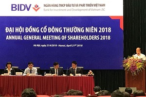 Đại hội đồng cổ đông BIDV: Ông Phạm Quang Tùng vào HĐQT, nhưng vẫn trống vị trí Chủ tịch HĐQT