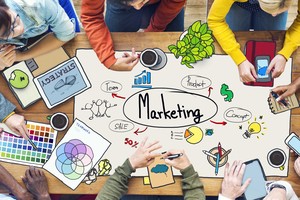 Nhóm nghề hành chính và thư ký sẽ giảm sút mạnh trong 5 năm tới