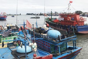 Lãi suất cho vay và phương thức trả nợ của chương trình cho vay theo Nghị định 67