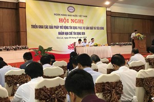 Tín dụng đen phức tạp tại Tây Nguyên, ngành ngân hàng có riêng một hội nghị tháo gỡ