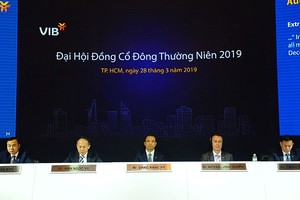 ĐHCĐ VIB: Thông qua kế hoạch lợi nhuận trước thuế 3.400 tỷ đồng năm 2019