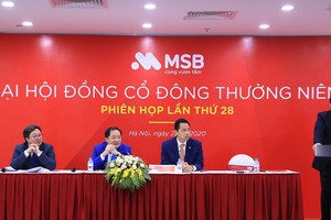 ĐHCĐ Ngân hàng MSB: Vẫn đặt chỉ tiêu lợi nhuận tăng 12%