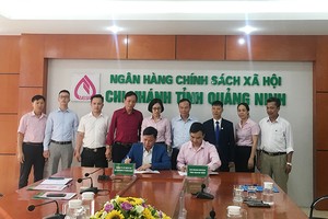 Ngân hàng Chính sách xã hội tỉnh Quảng Ninh ký hợp đồng tín dụng với người sử dụng lao động được vay vốn