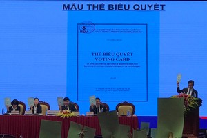 Biểu quyết tại Đại hội đồng cổ đông bằng hình thức giơ phiếu có hợp lệ?
