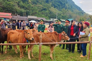 “Hành trình biên cương xanh” tại Cao Bằng cùng Agribank