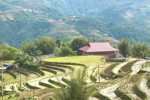 Ảnh: Dorsati Madani/World Bank