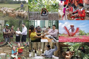 Hướng tới Ngân hàng Chính sách xã hội là tổ chức có khả năng tự chủ và phát triển ổn định lâu dài 