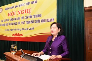 Bà Nguyễn Thị Hồng, Thống đốc NHNN Việt Nam