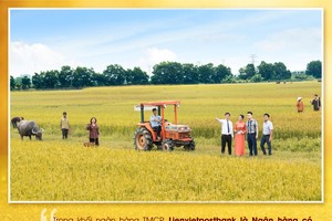 Định vị thương hiệu "tận tâm vì khách hàng"