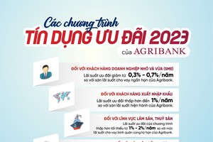 Hơn 60.000 tỷ đồng sẽ được Agribank ưu đãi hỗ trợ khách hàng