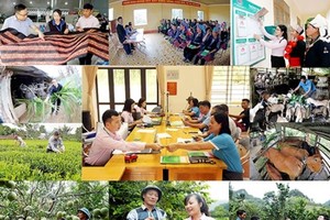 Tín dụng chính sách xã hội đã trở thành một “điểm sáng”, là một “trụ cột” trong hệ thống chính sách giảm nghèo, bảo đảm an sinh xã hội, đáp ứng nguyện vọng của nhân dân, đặc biệt là người nghèo và đối tượng yếu thế trong xã hội