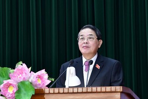 Ủy viên Ban Chấp hành Trung ương Đảng, Phó Chủ tịch Quốc hội Nguyễn Đức Hải phát biểu chỉ đạo Hội nghị.