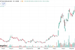 Cổ phiếu SHB tăng trưởng liên tục từ đầu năm