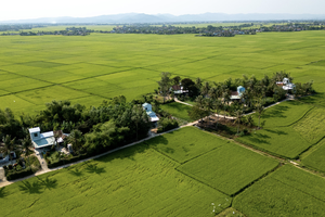 Những ngôi nhà an toàn được ADB và Chính phủ tài trợ được xây dựng lại trong chiến dịch Quang Trung tại khu phố Đông Thạnh, phường Đông Hòa tỉnh Đắk Lắk. Ảnh: Trần Việt Tuấn/ADB