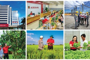 Tăng vốn điều lệ: Đòn bẩy để Agribank tiếp tục dẫn dắt dòng vốn cho nền kinh tế