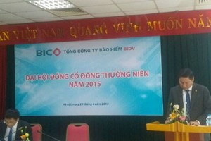 Chủ tịch BIC: “Cổ đông ngoại sẽ đến từ quốc gia thuộc nhóm G7“