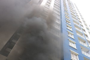 PVI xác nhận bán bảo hiểm cho Carina, số tiền bảo hiểm là 357 tỷ đồng